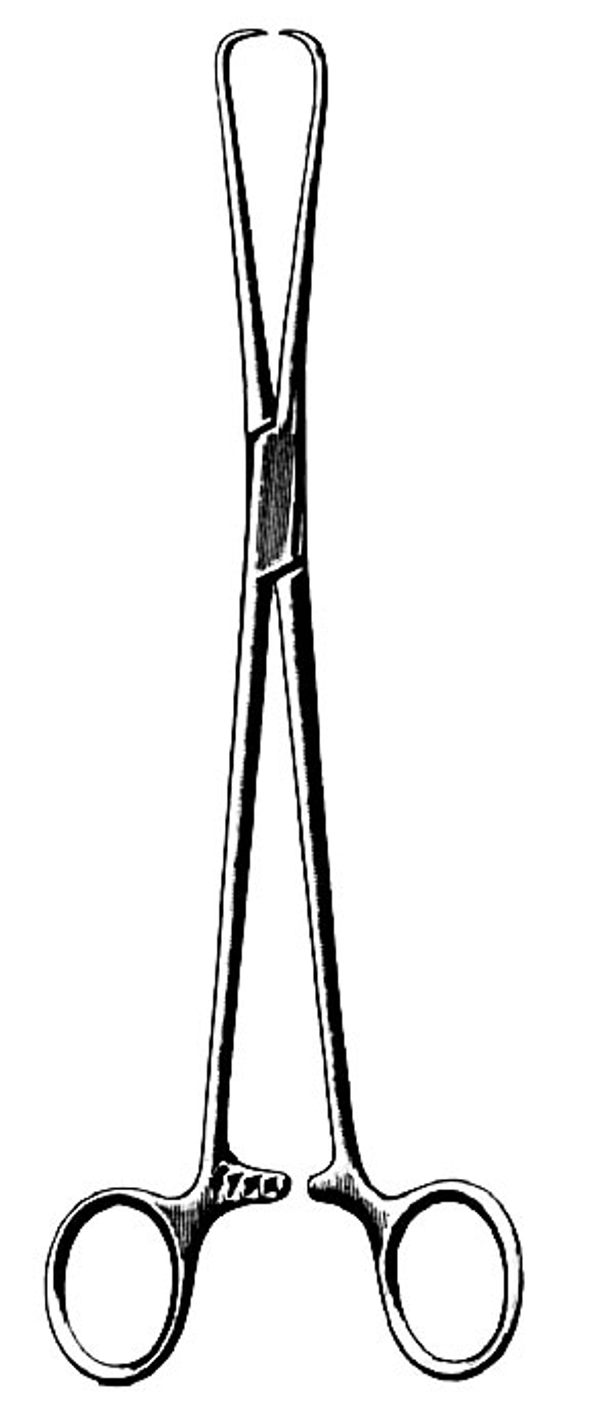 AMG Shroeder Tenaculum Forceps, 10"