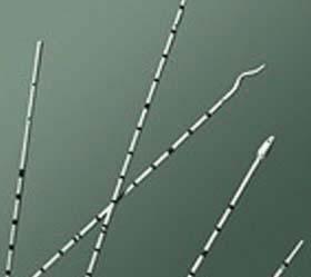 BRD 138010 BX/10 URETERAL CATHETER,POLYURETHANE SPIRAL TIP W/ADAPTER 10FR X 70CM