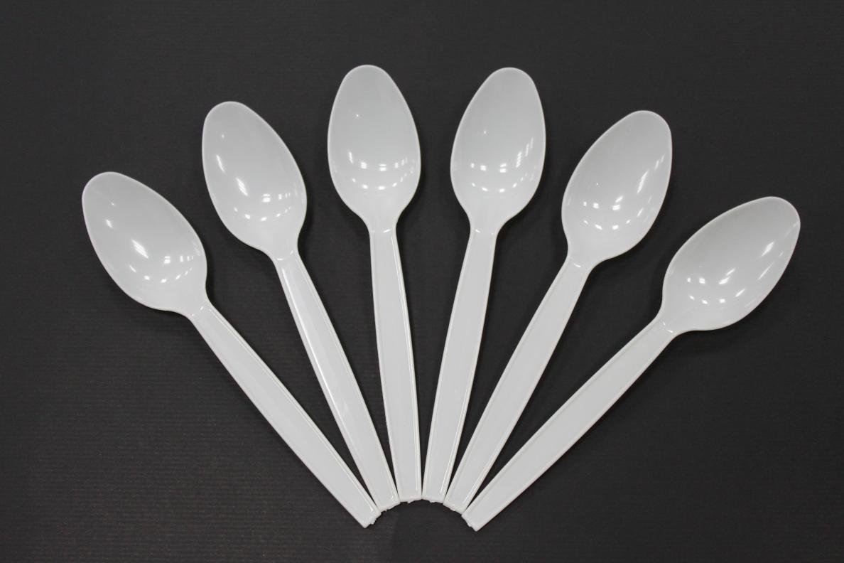 DM NON041005 CA/1000 DISPOSABLE PLASTIC SPOONS