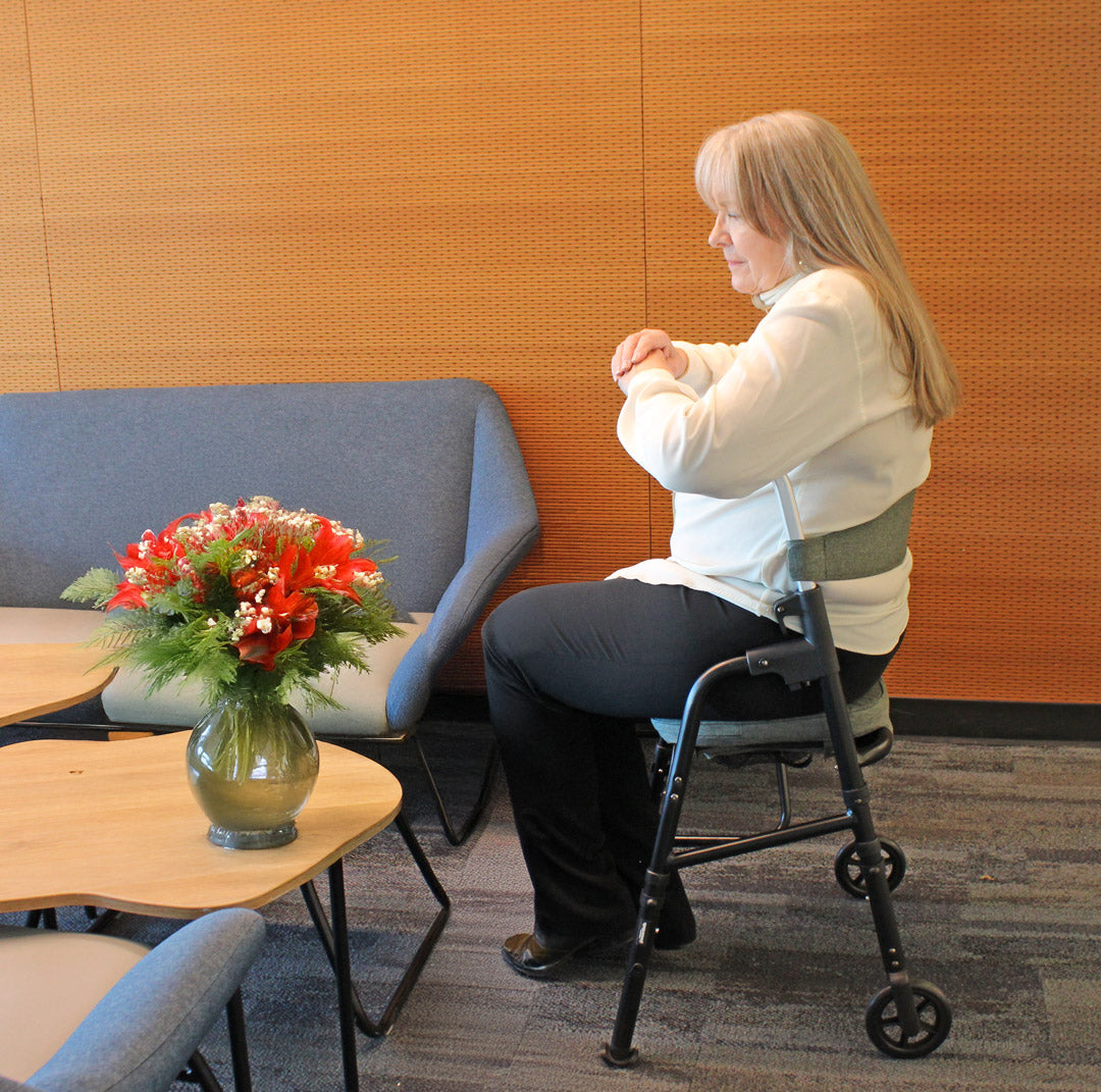 Triumph Essentials 2-Wheel Walker With Seat