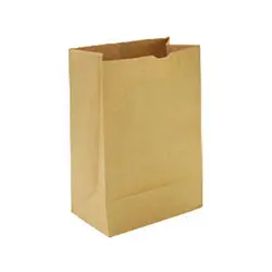 RL 68160033 CS/500 KRAFT PAPER BAG 8LB