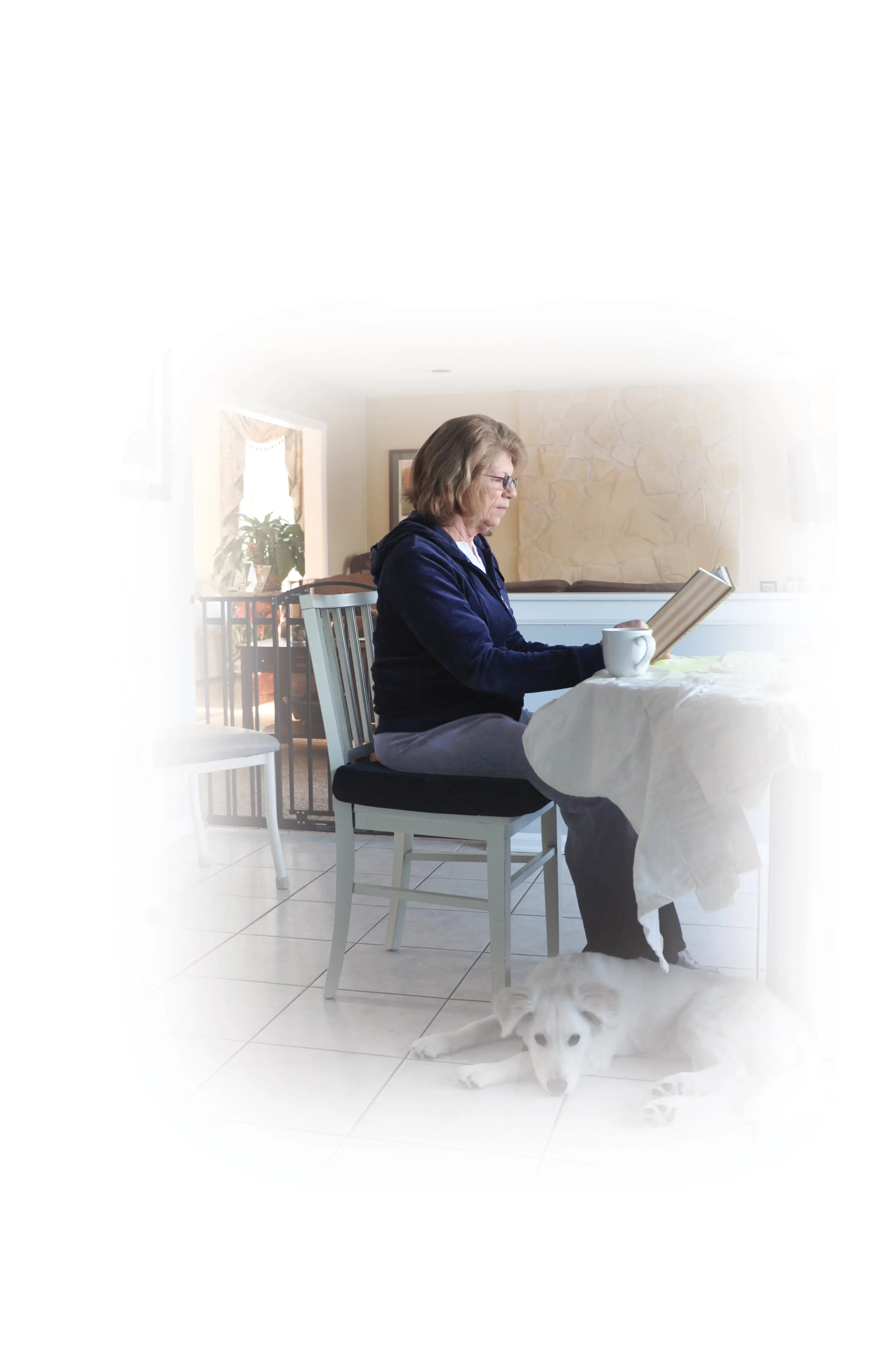 Foam Cushion, 3" - Home Health Store Inc