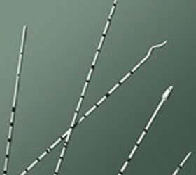 BRD 136406N BX/10 URETERAL CATHETER POLYURETHANE,WHISTLE TIPW/ADAPTER,6FR X 70CM