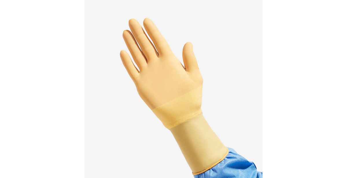 Protexis Neoprene Surgical Gloves